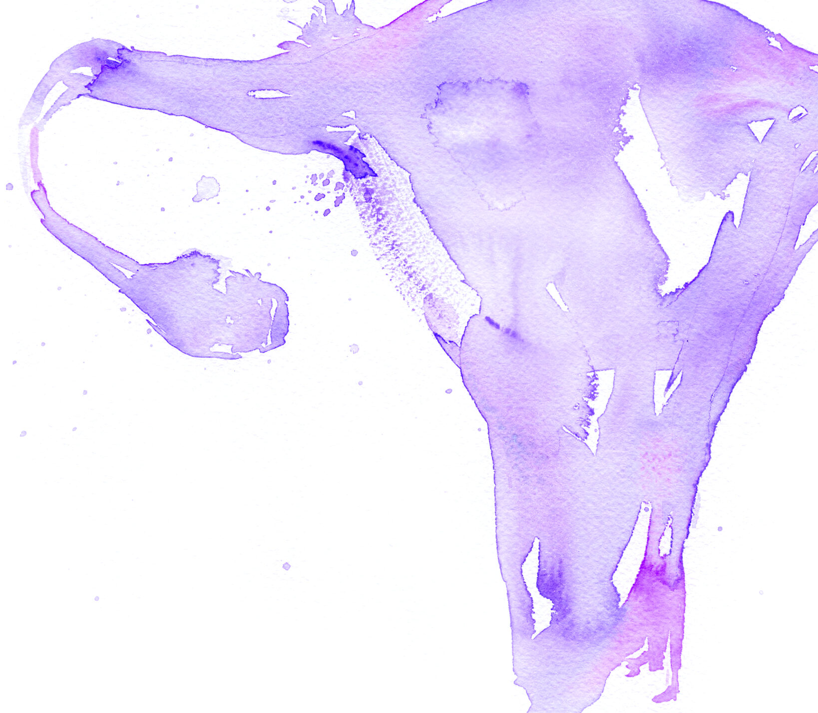 Women's & Family Care